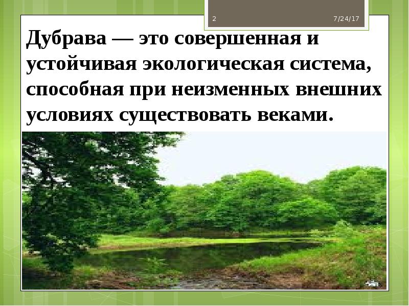 Дубрава — это совершенная и устойчивая экологическая система, способная при неизменных