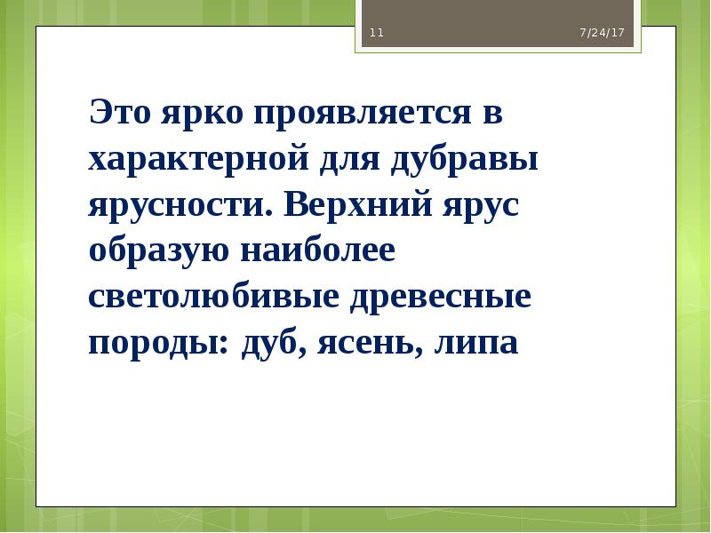 Это ярко проявляется в характерной для дубравы ярусности. Верхний ярус образую