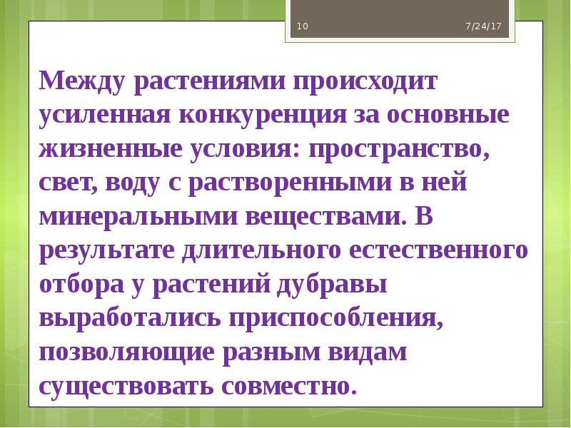 Между растениями происходит усиленная конкуренция за основные жизненные условия: пространство, свет,