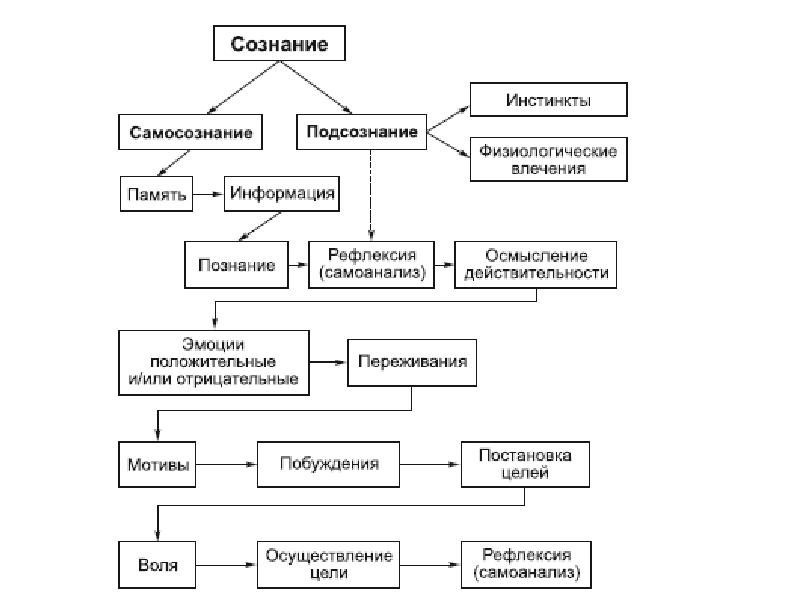 Человек в психологии схема