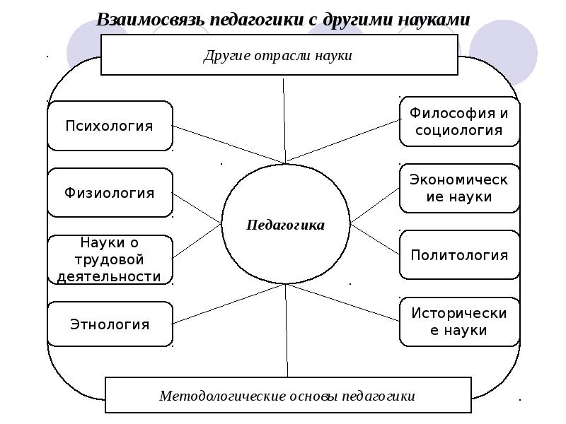 Отрасли педагогики презентация