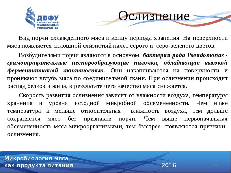 Ослизнение
Вид порчи охлажденного мяса к концу периода хранения. На Ослизнение
Вид порчи охлажденного мяса к концу периода хранения. На