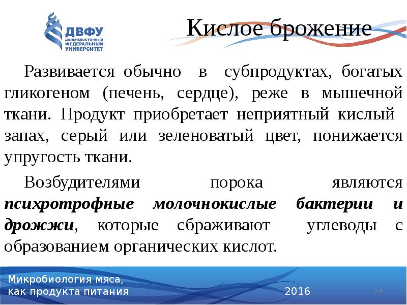 Кислое брожение
Развивается обычно в субпродуктах, богатых гликогеном (печень, сердце), Кислое брожение
Развивается обычно в субпродуктах, богатых гликогеном (печень, сердце),
