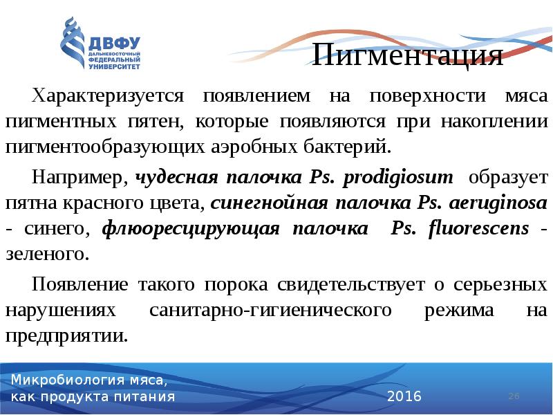 Пигментация
Характеризуется появлением на поверхности мяса пигментных пятен, которые появляются при Пигментация
Характеризуется появлением на поверхности мяса пигментных пятен, которые появляются при