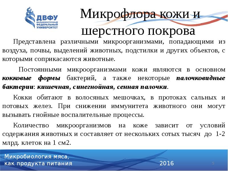 Микрофлора кожи и шерстного покрова
Представлена различными микроорганизмами, попадающими из Микрофлора кожи и шерстного покрова
Представлена различными микроорганизмами, попадающими из