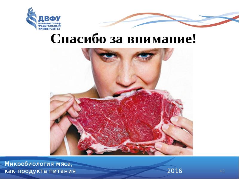 Спасибо за внимание! Спасибо за внимание!