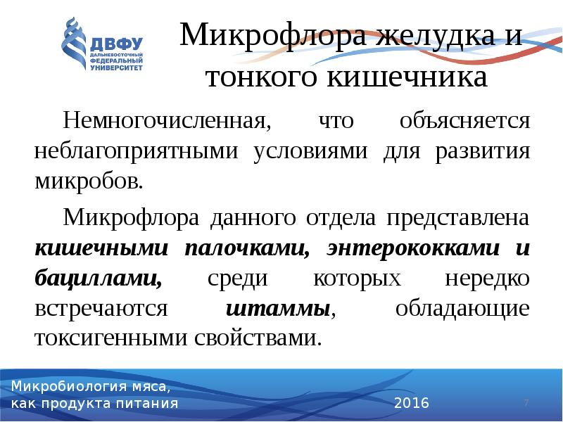 Микрофлора желудка и тонкого кишечника
Немногочисленная, что объясняется неблагоприятными условиями Микрофлора желудка и тонкого кишечника
Немногочисленная, что объясняется неблагоприятными условиями