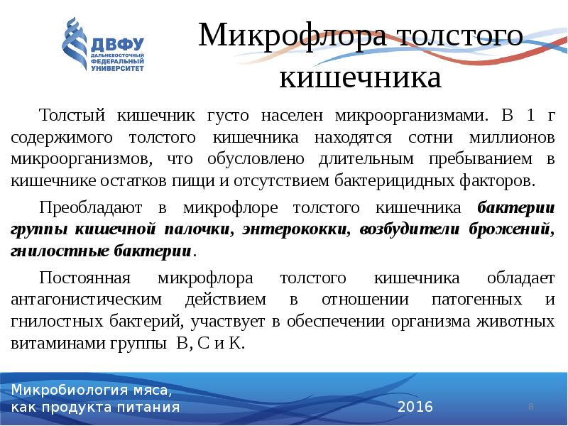 Микрофлора толстого кишечника
Толстый кишечник густо населен микроорганизмами. В 1 г Микрофлора толстого кишечника
Толстый кишечник густо населен микроорганизмами. В 1 г