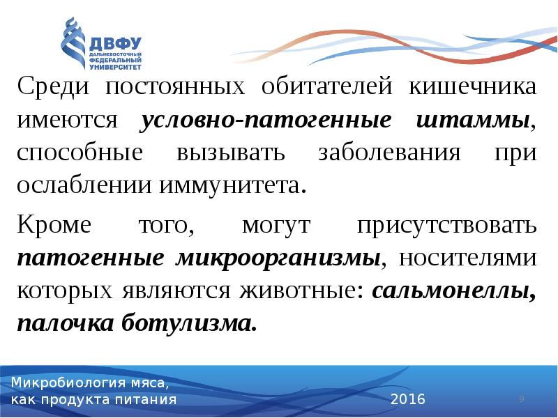 Среди постоянных обитателей кишечника имеются условно-патогенные штаммы, способные вызывать заболевания при Среди постоянных обитателей кишечника имеются условно-патогенные штаммы, способные вызывать заболевания при
