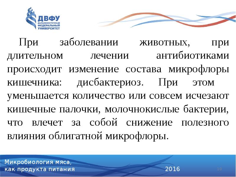 При заболевании животных, при длительном лечении антибиотиками происходит изменение состава микрофлоры При заболевании животных, при длительном лечении антибиотиками происходит изменение состава микрофлоры