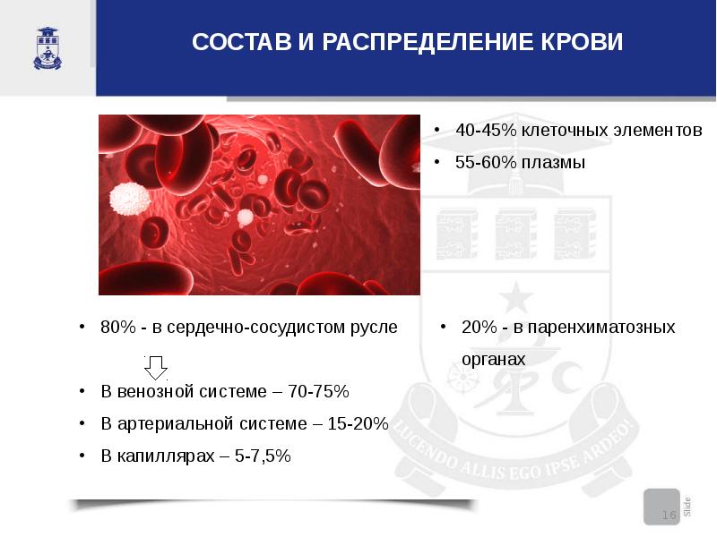 Кровотечение печени. Распределение крови по органам. Паренхиматозная кровь. Цвет паренхиматозной крови. Паренхиматозное кровотечение цвет крови.