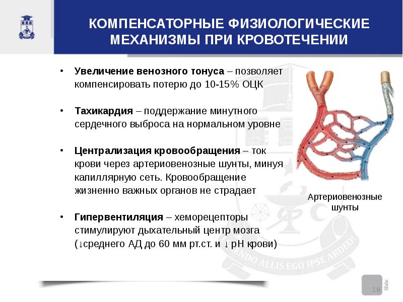 Презентация кровотечения общая хирургия