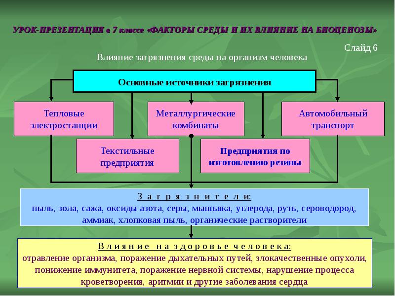 Презентация 6 класс биоценоз