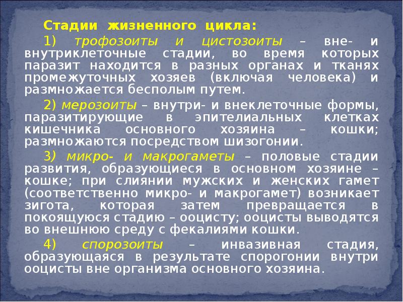 Степень цикла. Стадия витальных реакций время.