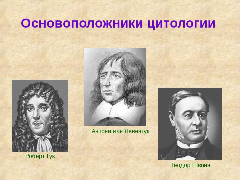 Основоположники цитологии Основоположники цитологии