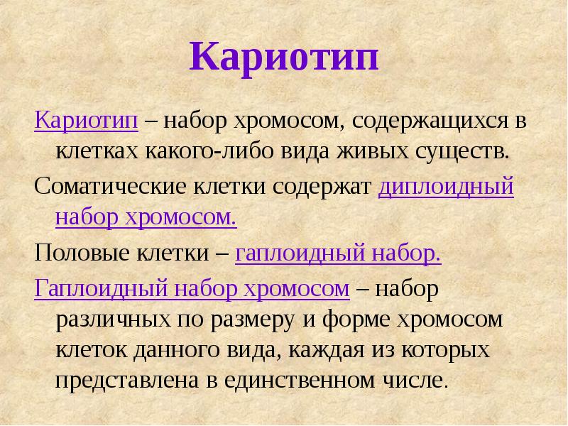 Кариотип
Кариотип – набор хромосом, содержащихся в клетках какого-либо вида живых Кариотип
Кариотип – набор хромосом, содержащихся в клетках какого-либо вида живых