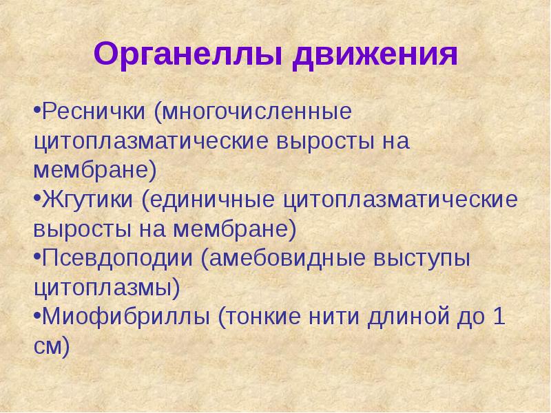 Органеллы движения Органеллы движения