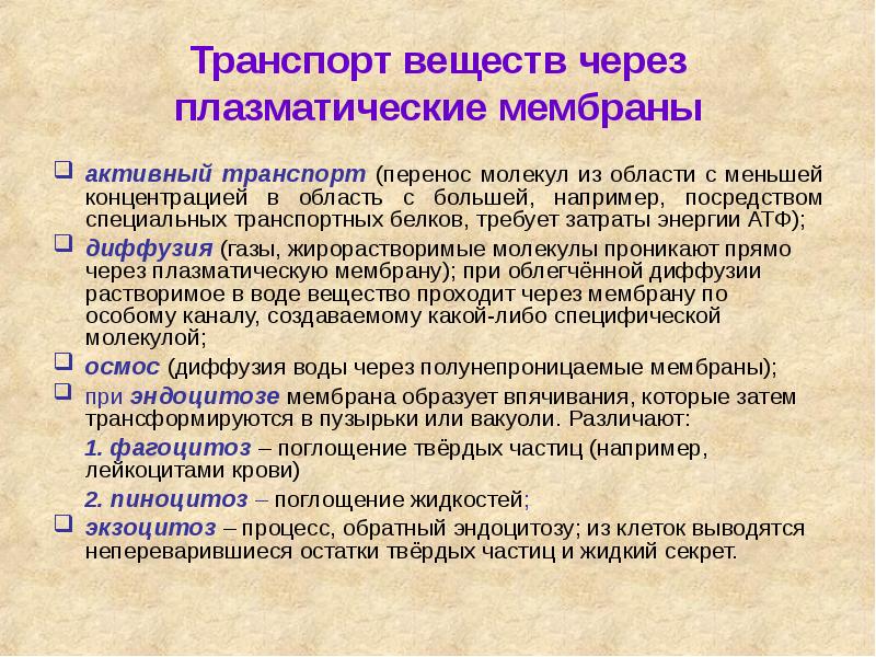 Транспорт веществ через плазматические мембраны
активный транспорт (перенос молекул из области Транспорт веществ через плазматические мембраны
активный транспорт (перенос молекул из области