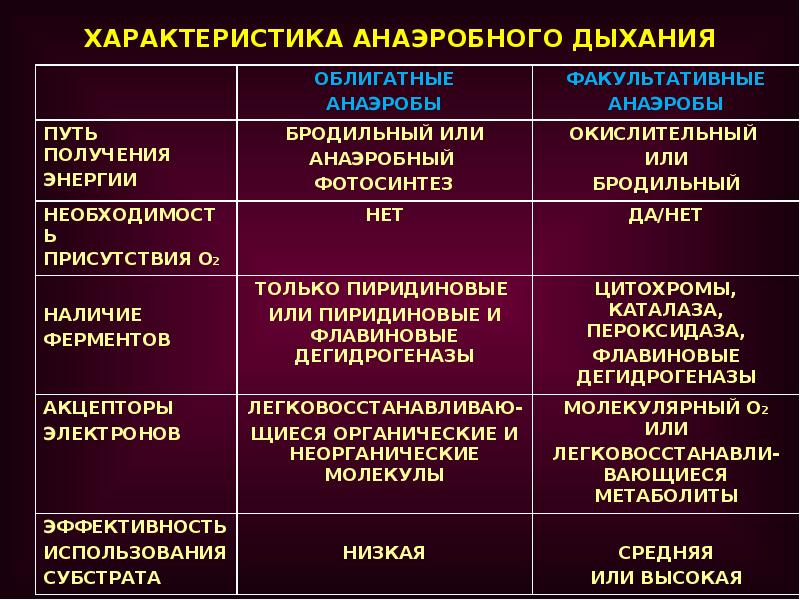 факультативные и облигатные анаэробы