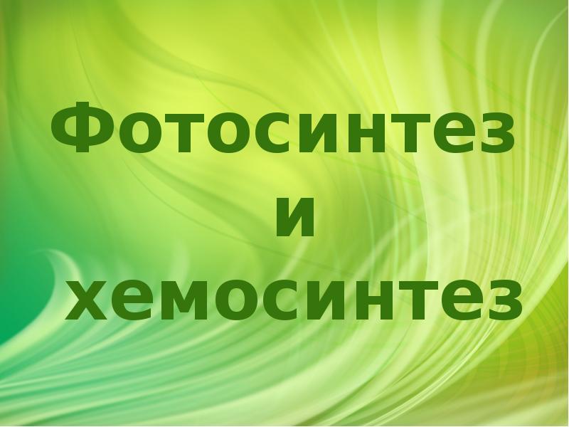 Типы клеточного питания фотосинтез и хемосинтез 10 класс презентация