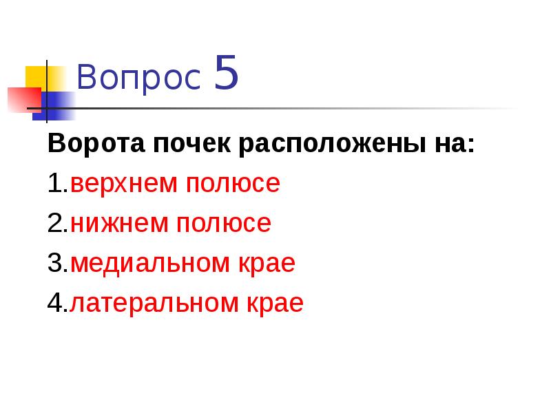 Край вопрос. Ворота почек расположены на. Ворота почки располагаются на. Почечные ворота находятся. Ворота почки находятся.