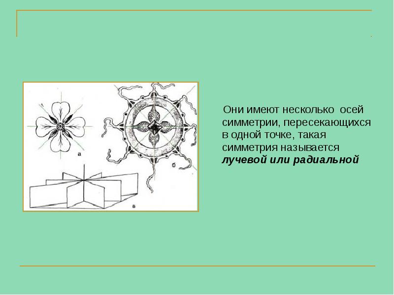 Они имеют несколько осей симметрии, пересекающихся в одной точке, такая симметрия Они имеют несколько осей симметрии, пересекающихся в одной точке, такая симметрия