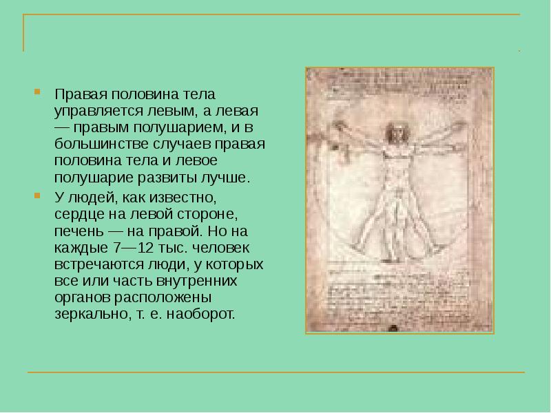 Правая половина тела управляется левым, а левая — правым полушарием, и Правая половина тела управляется левым, а левая — правым полушарием, и