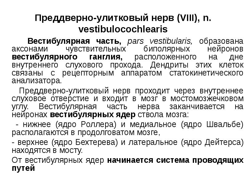 Преддверно улитковый нерв. Вестибулярная часть преддверно улиткового нерва Нейроны. Ядра преддверно улиткового нерва. Расположение ядер преддверно-улиткового нерва. Преддверно-улитковый нерв иннервирует.