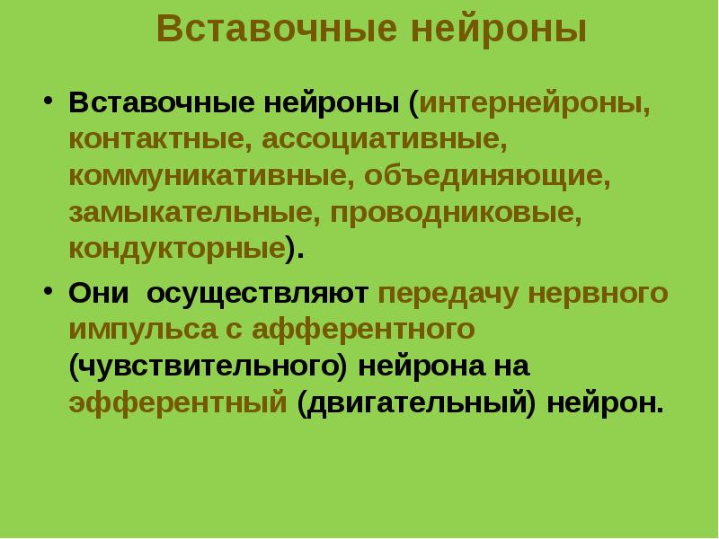 Интернейроны. Вставочный Нейрон. Вставочный Нейрон ассоциативный. Вставочный или ассоциативный Нейрон. Вставочные, ассоциативные.