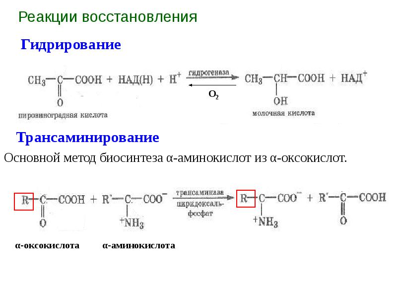 Карбоновые кислоты и их производные презентация