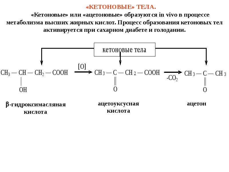 Схема образования кетоновых тел