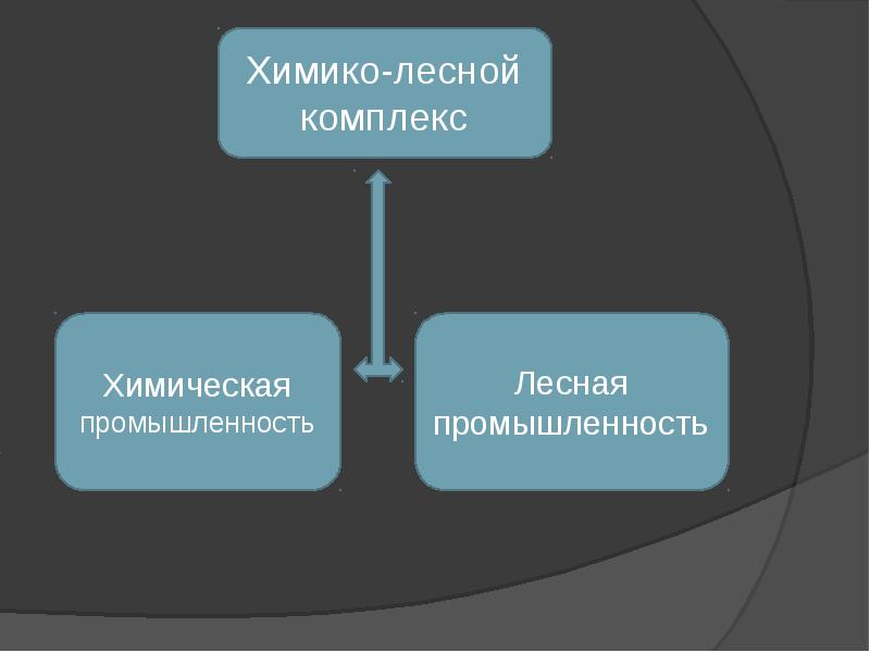 Презентация химико лесной комплекс