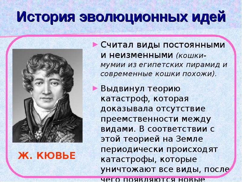 История развития эволюционных идей презентация 10 класс