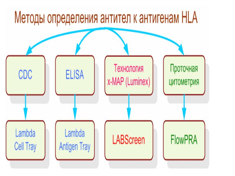 Иммунитет туралы слайд ?аза?ша