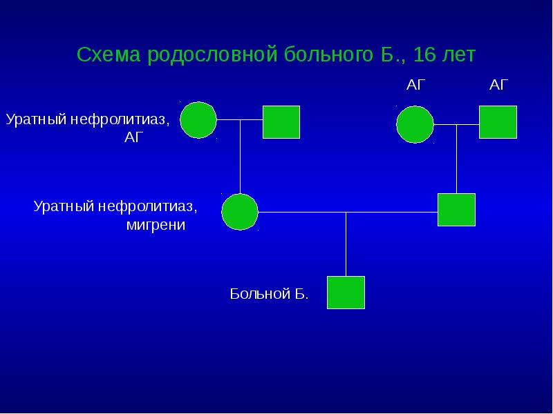Схема родословной больного Б., 16 лет