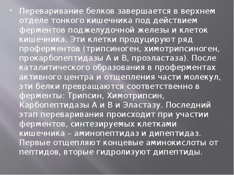 Переваривание белков завершается в верхнем отделе тонкого кишечника под действием ферментов