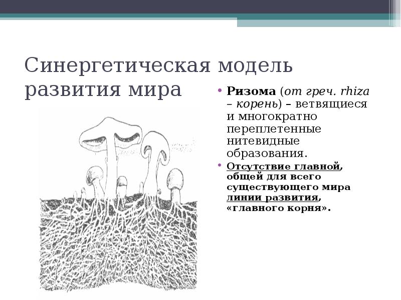 Ризома. Ризома в философии. Ризома постмодернизм. Ризома в философии это простыми словами. Ризома и корень.