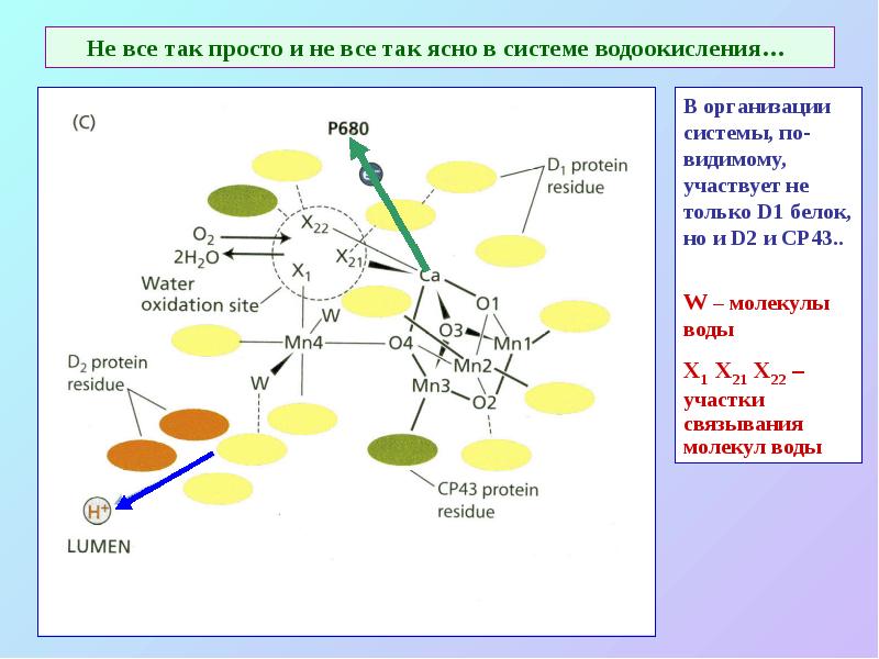 Не все так просто и не все так ясно в системе