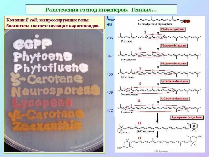 Развлечения господ инженеров. Генных…