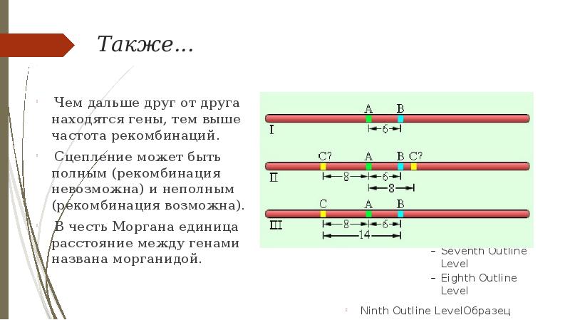 Полное и неполное сцепление генов презентация