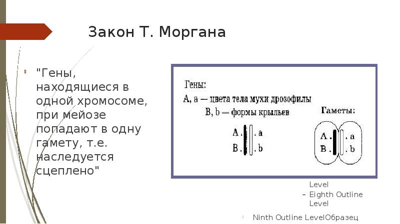 Сцепленное наследование генов закон т моргана