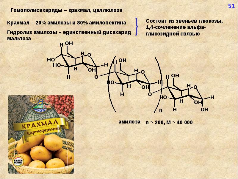 Целлюлоза аминокислоты. Крахмал амилоза и амилопектин. Гидролиз амилозы. Амилоза амилопектин Целлюлоза. Гомополисахариды: крахмал (амилоза и амилопектин).