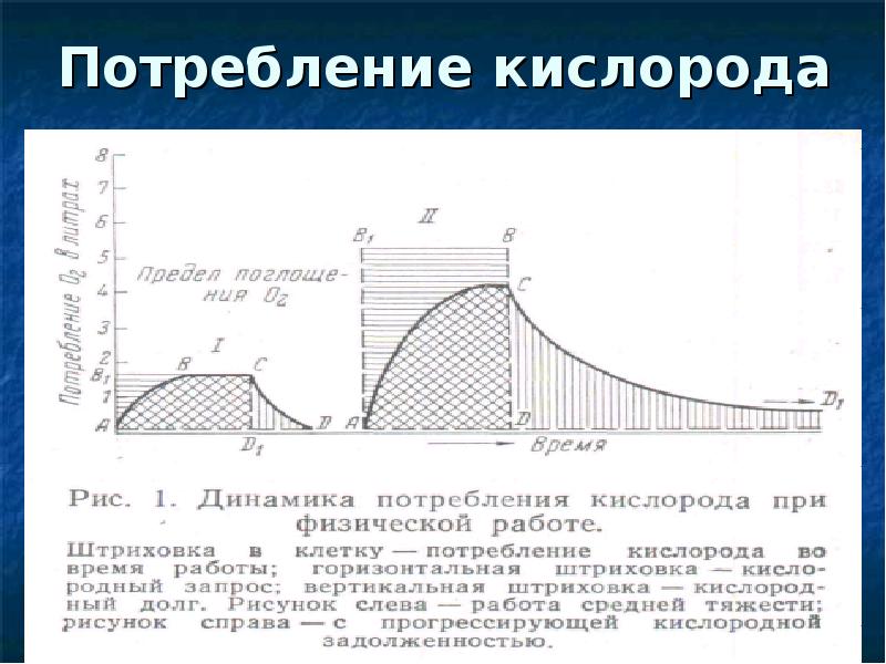 Потребность кислорода