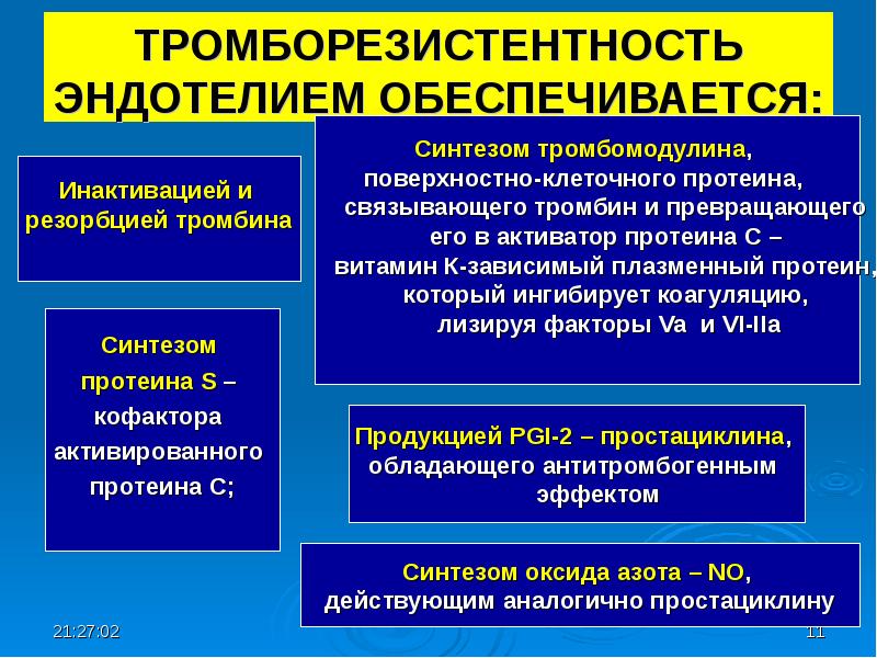 Тромборезистентность сосудистой стенки обусловлена