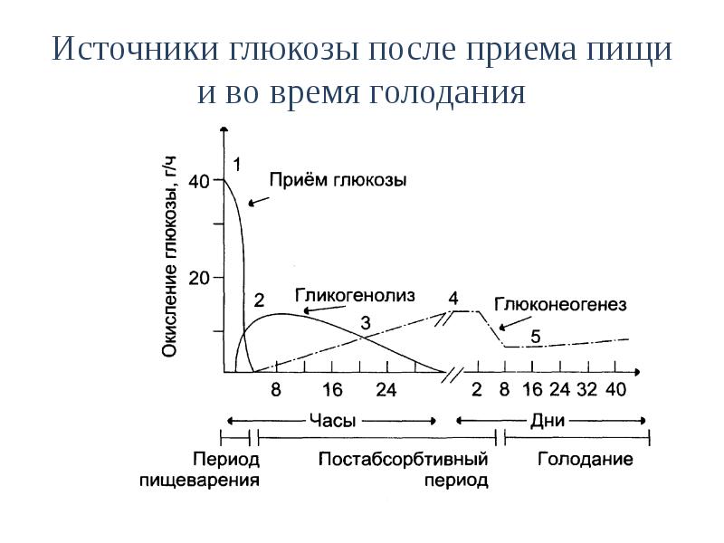 Схема приема гормона роста и инсулина