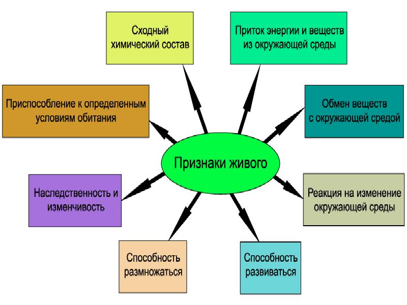 Презентация царство животные 9 класс