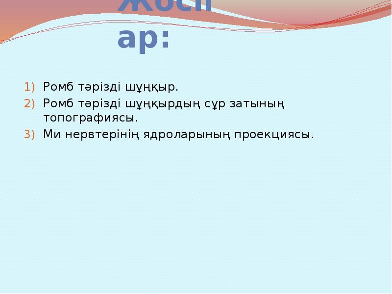 Жоспар:
Ромб тәрізді шұңқыр.
Ромб тәрізді шұңқырдың сұр затының топографиясы.
Ми Жоспар:
Ромб тәрізді шұңқыр.
Ромб тәрізді шұңқырдың сұр затының топографиясы.
Ми