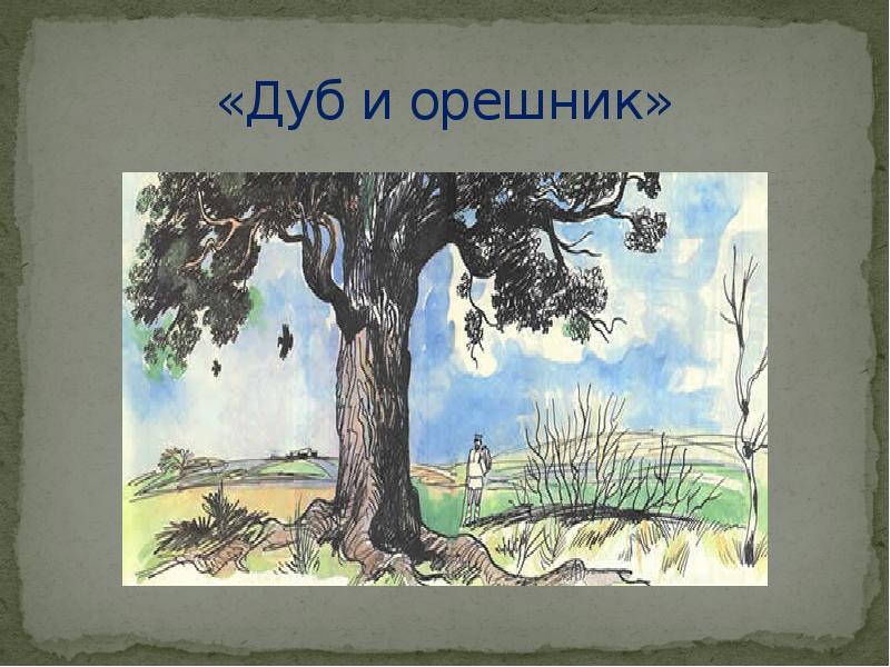 Дуб произведение. Басни л.н.Толстого «дуб и орешник».. Лев Николаевич толстой дуб и орешник. Л. толстой «дуб и орешник»,. Рисунок к басне дуб и орешник.