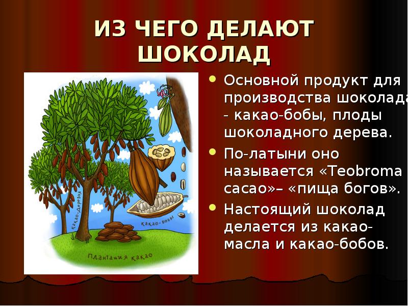 Из чего делают шоколад. Из чего делают школада. Из чегоо делают ШИКОЛАД. Из чего создают шоколад. С чего делают шоколад.