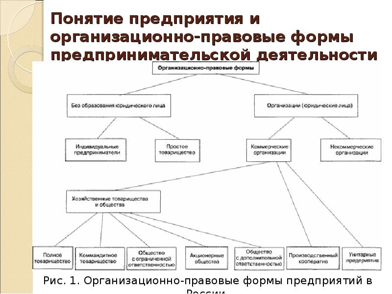 Организационные формы предпринимательской деятельности